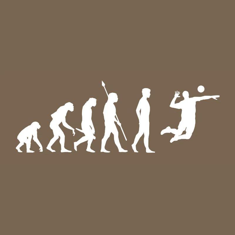 Volleyball Evolution