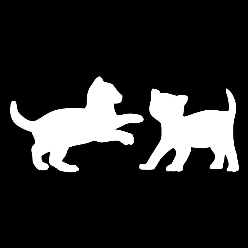 Deux chatons jouant