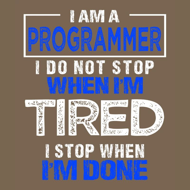 Programmer Gift Programmer Developer