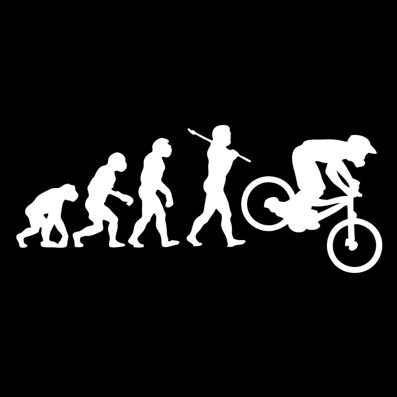 NEW MTB DOWNHILL MOUNTAIN BIKE EVOLUTION