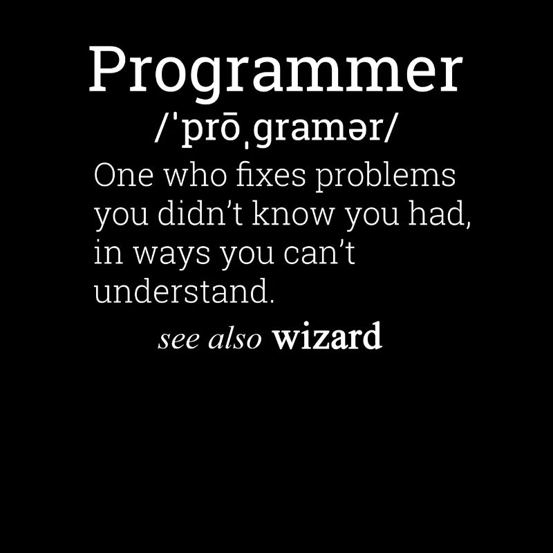 Programmeur Définition