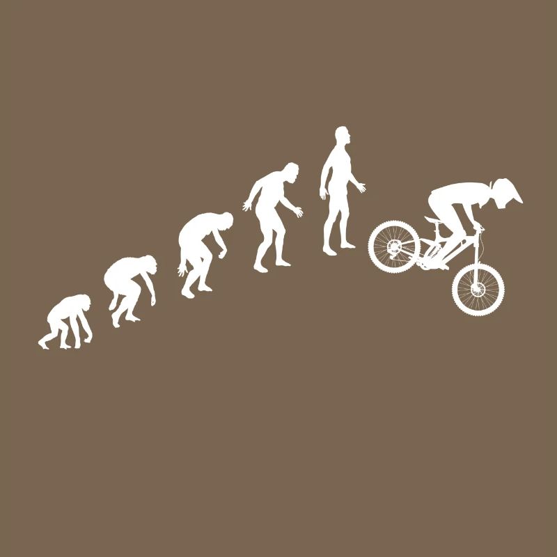 Evolution de la descente