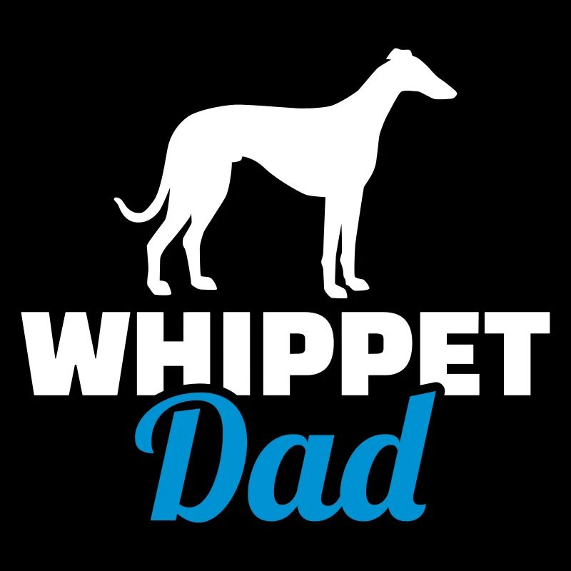 Whippet