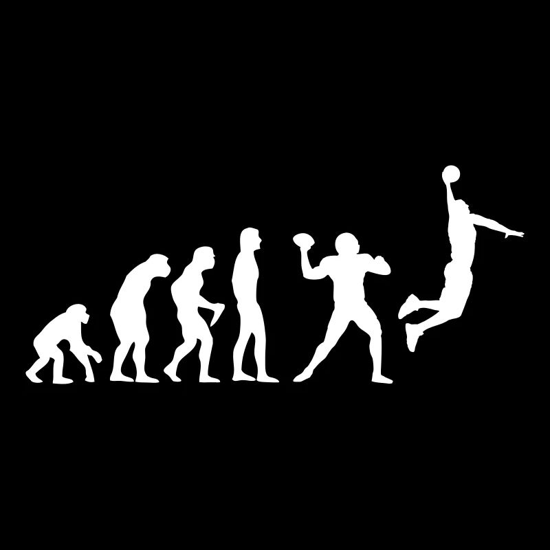 Basket-ball Evolution Basketball Basket