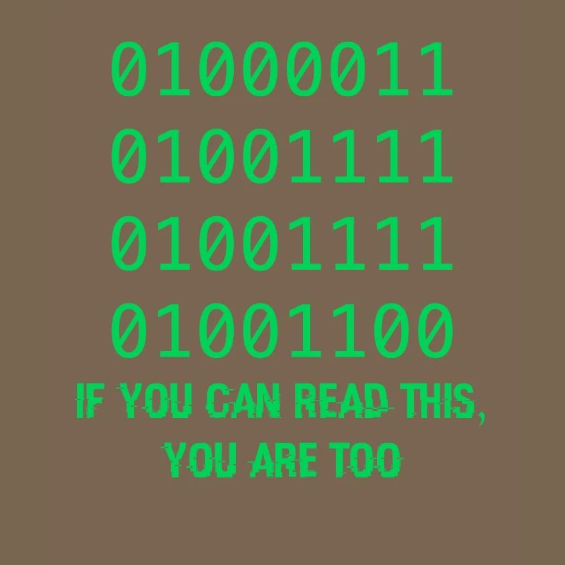 Computer Binary Code Developers Gift
