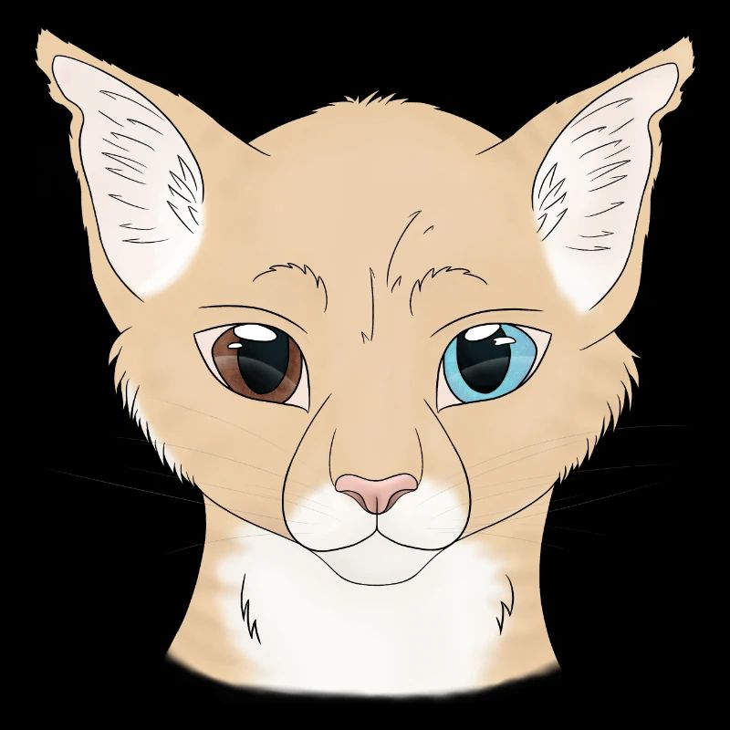 Warrior Cats - Pied brun