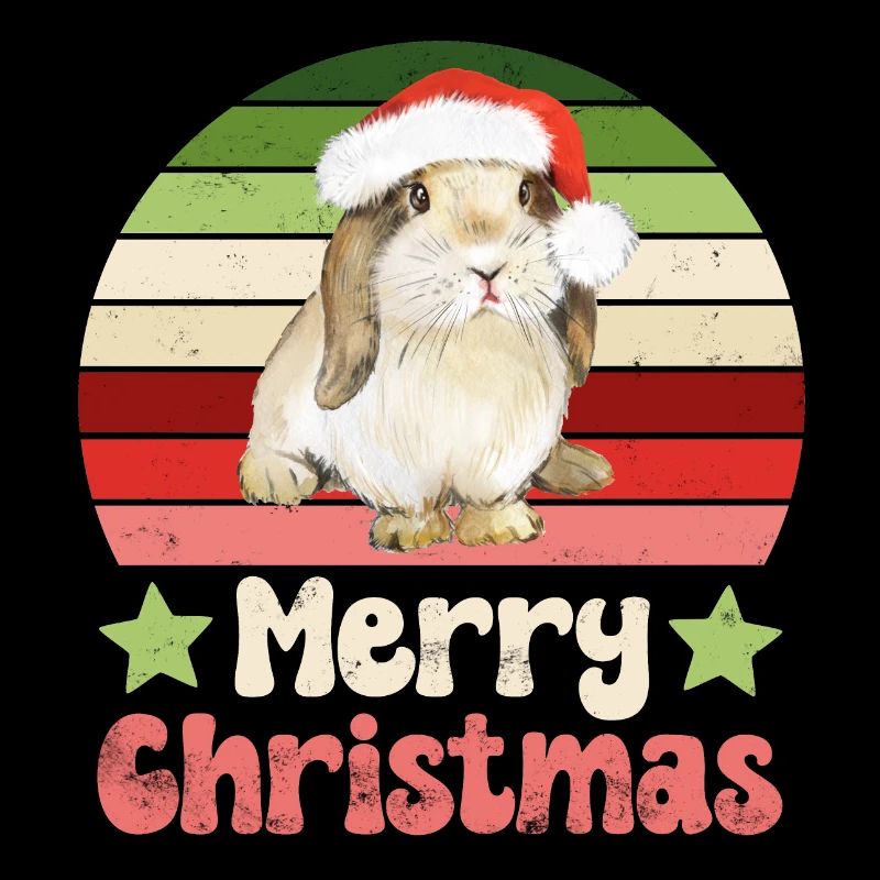 Lapin Lapin Noël