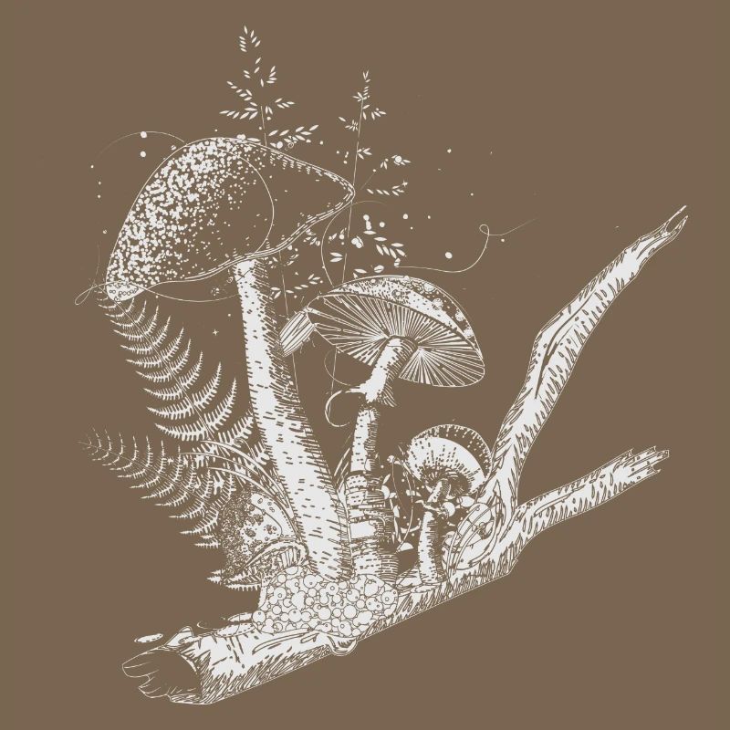composition dessinée champignons forestiers, graminées et branches