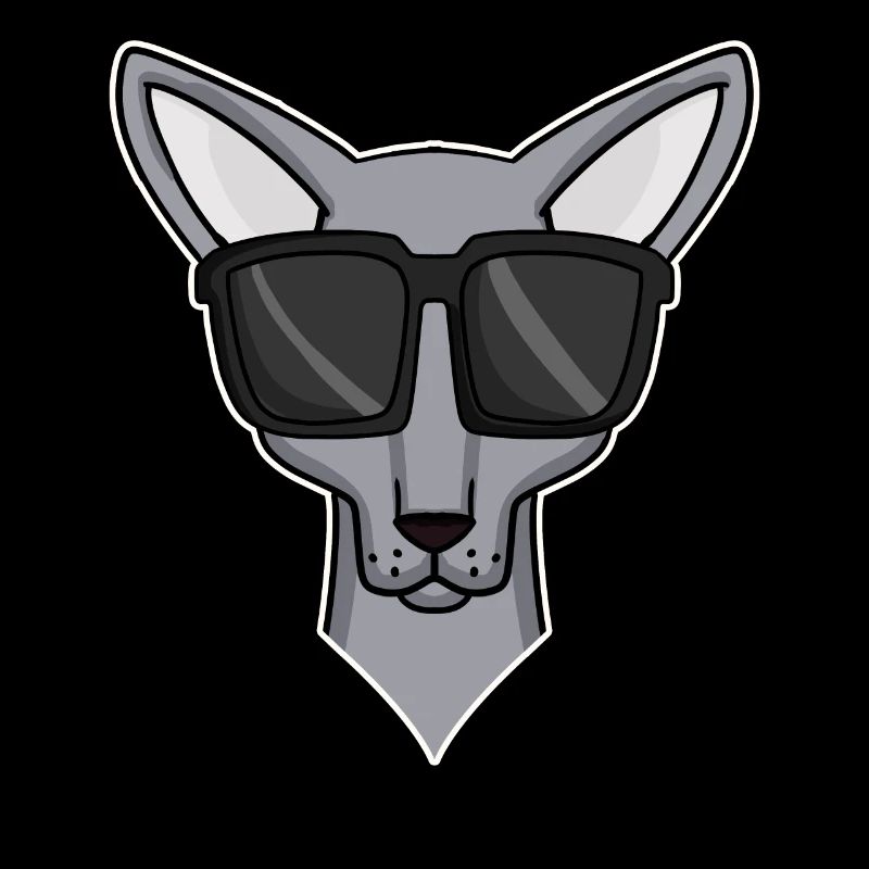 chat cool avec des lunettes de soleil - race de chat Sphynx