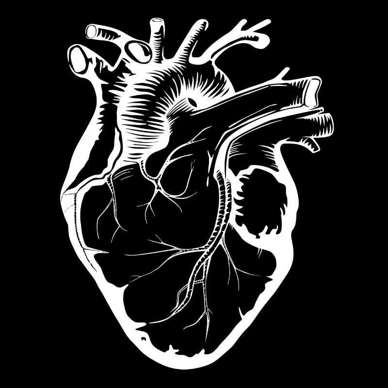 Heart (Original Size)