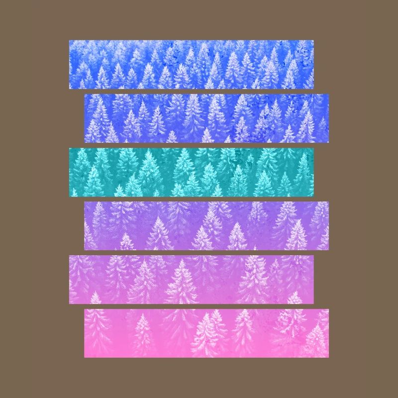 Fir