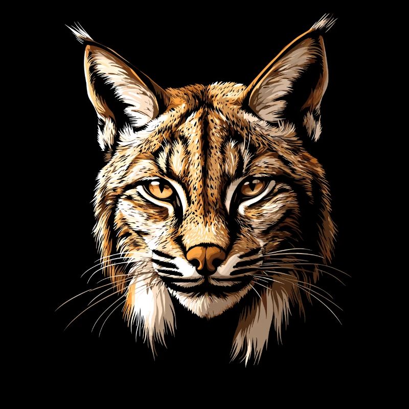 Lynx Chat sauvage Grands chats Chats Mignon Lynx