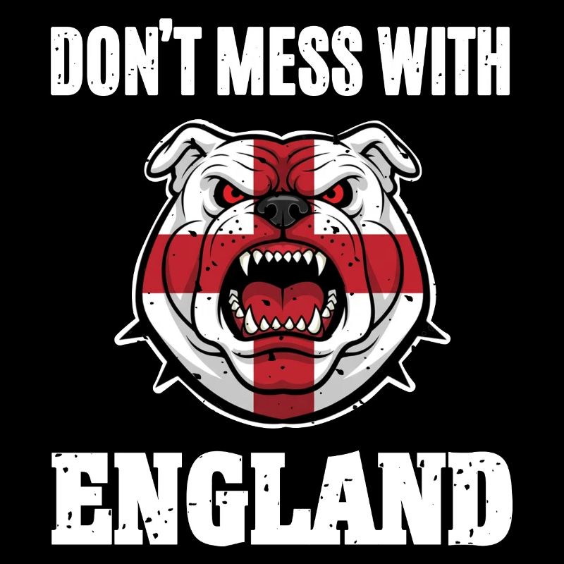 Drone de combat Bulldog Angleterre