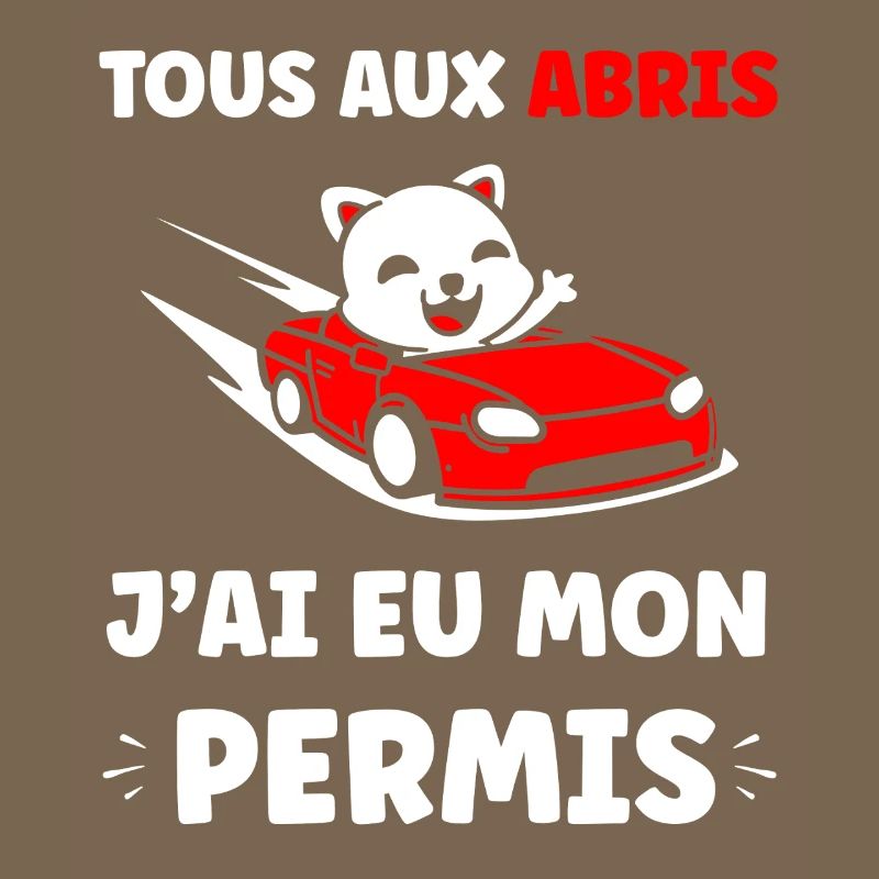 Panda in Red Cabrio Allowed