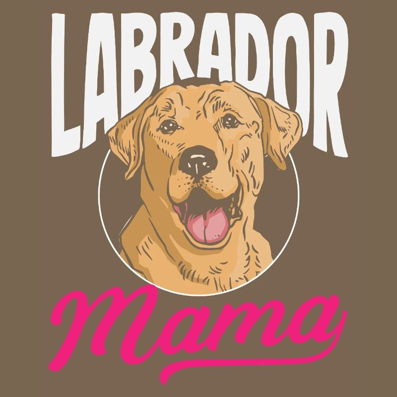 Labrador Tricks