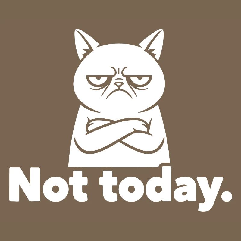Grim Cat Not Today Meme