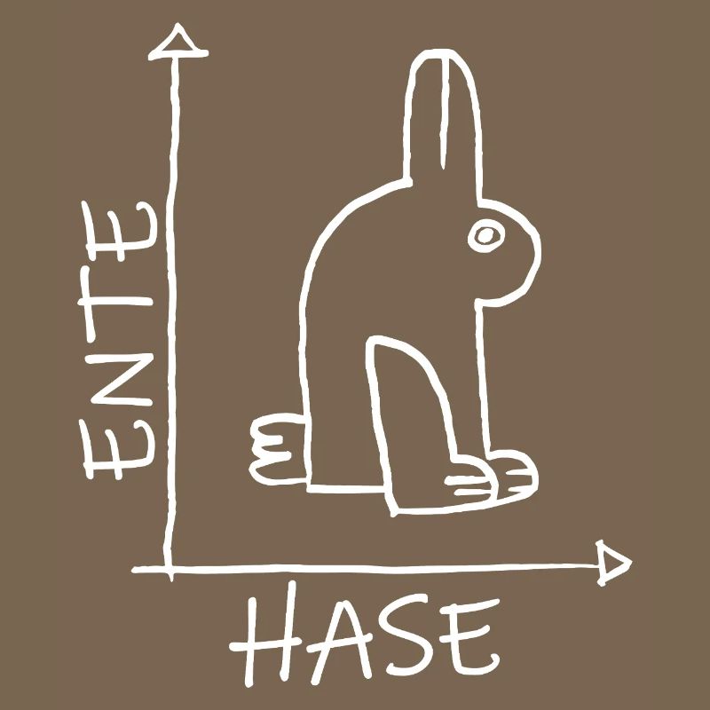 Bunnies Ducks Head Illusion - Optical Illusion