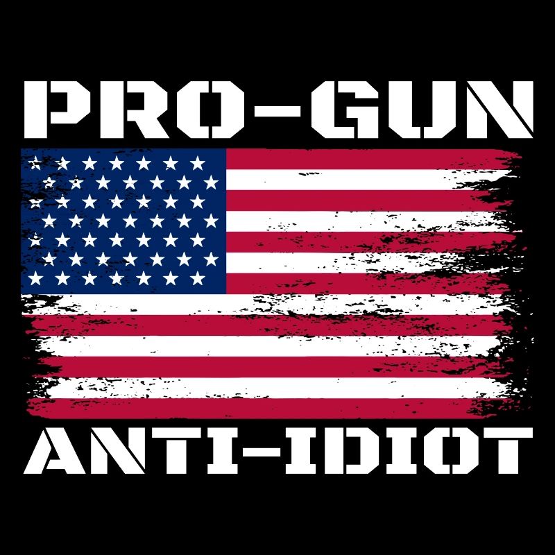 Pro-guns, anti-idiot