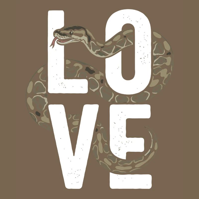 Les serpents rois Python ADORENT les pythons de terrarium
