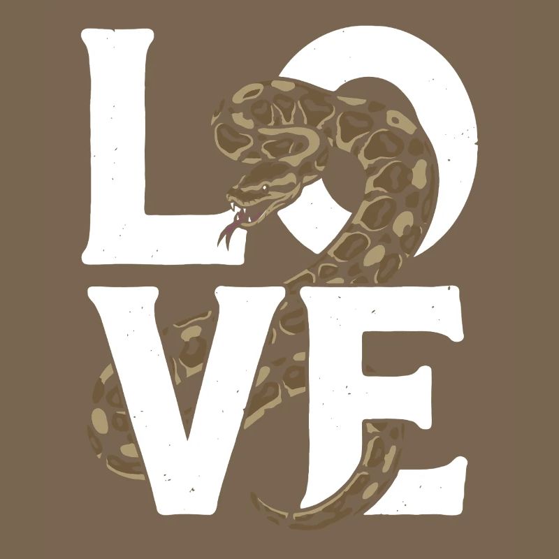 Les serpents rois Python ADORENT les pythons de terrarium