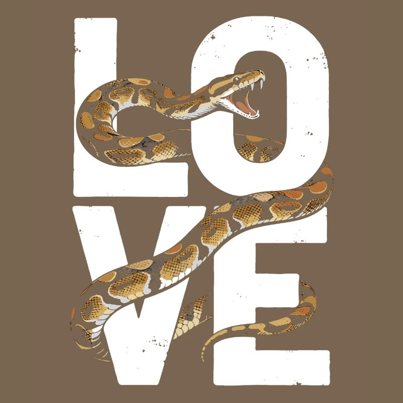 Les serpents rois Python ADORENT les pythons de terrarium