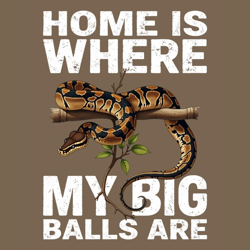 Python roi Serpents Amateurs de terrarium Python