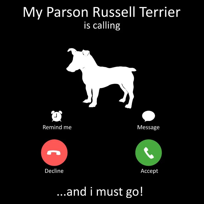 Le pasteur Russell Terrier appelle le chien drôle