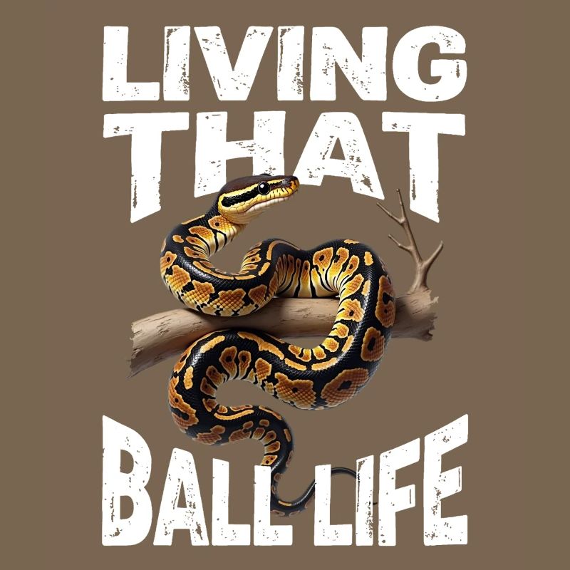 Python roi Serpents Amateurs de terrarium Python