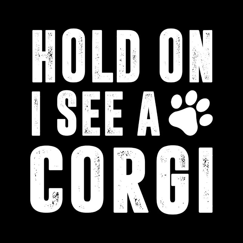 Hold On I See A Corgi
