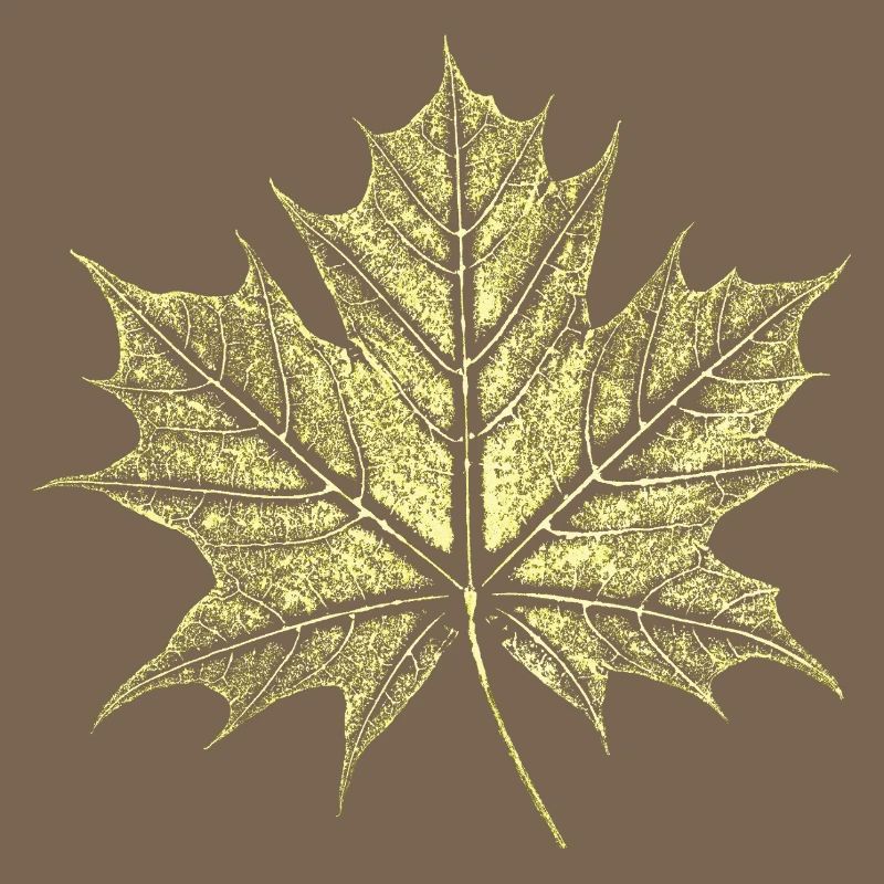 Maple Leaf / Botany - Natural