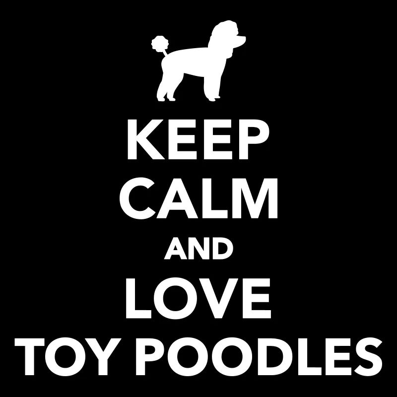 Toy Caniche