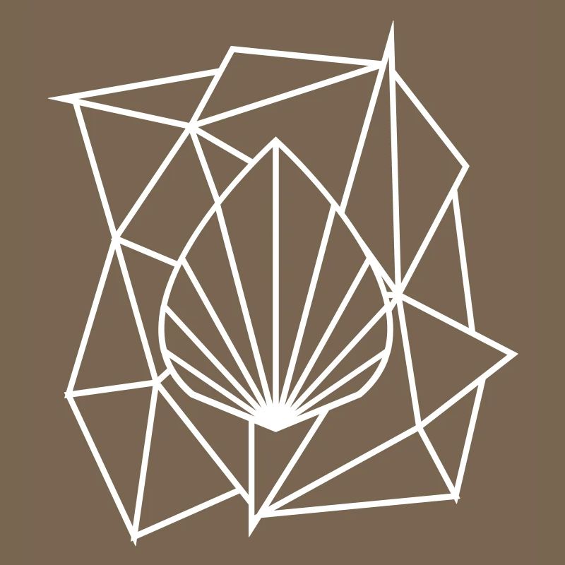 Polygon Augmented Logo