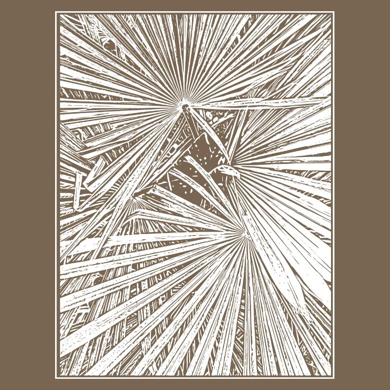 Palm trees