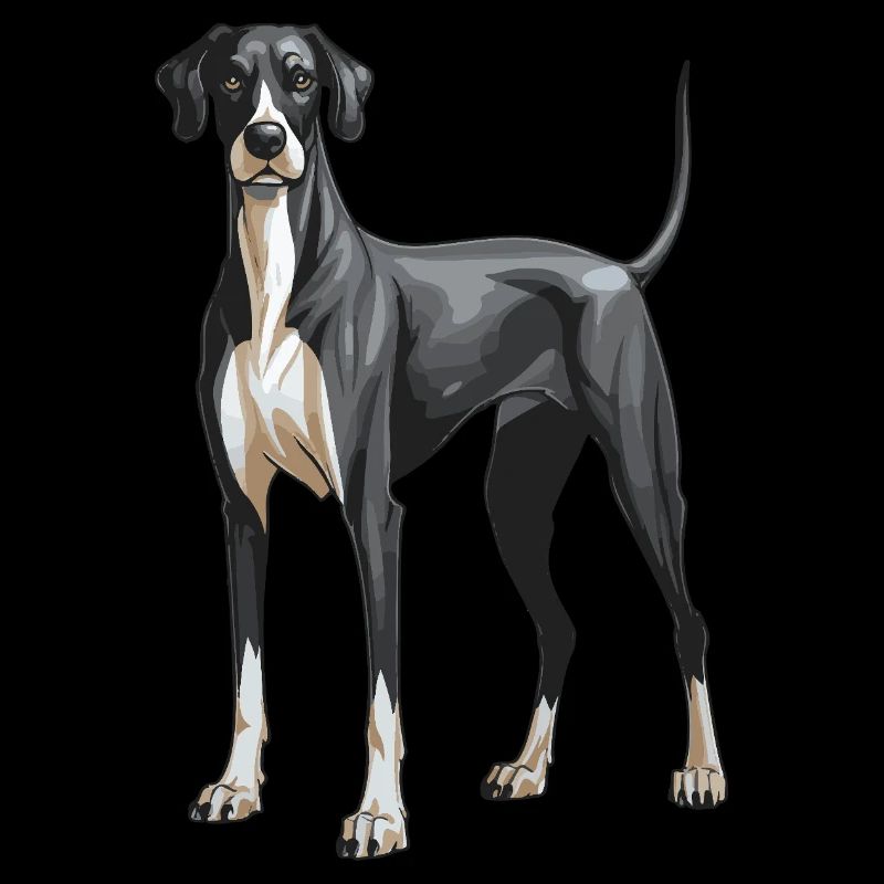 Great Dane Dog