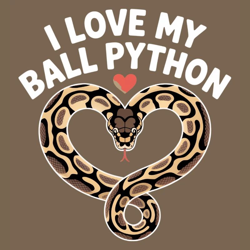 J’adore mon python royal ! Roi python