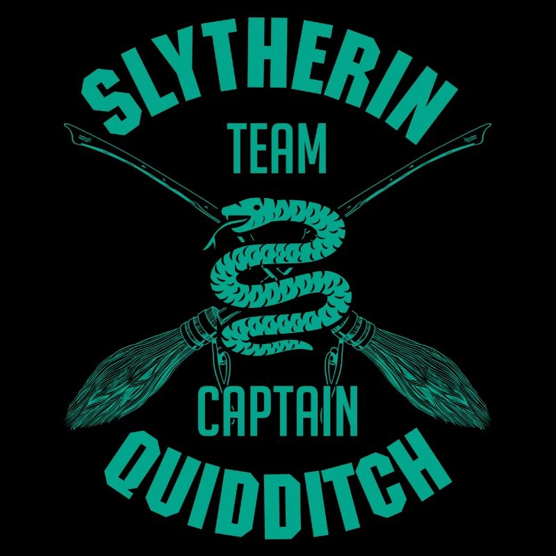 Harry Potter Emblème Serpentard Quidditch