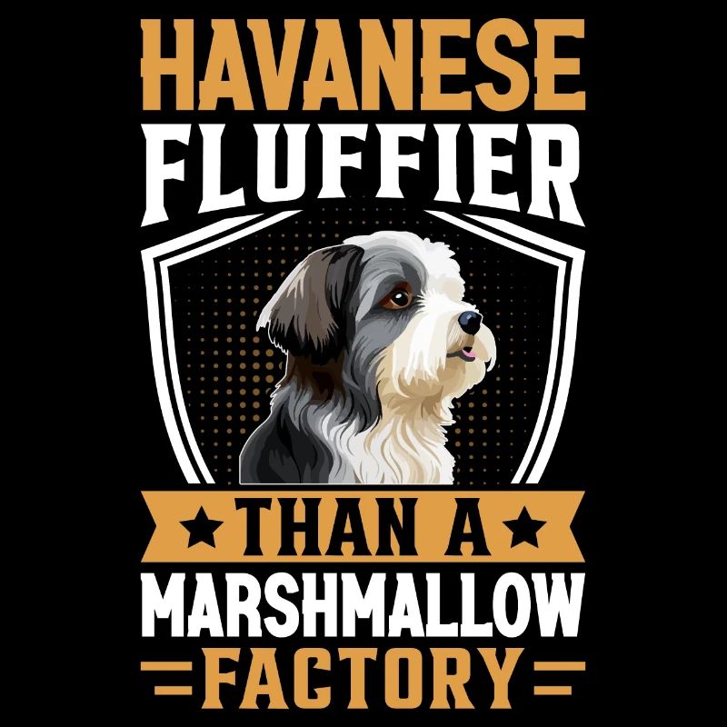 Havanese Fluffier than a Marshmallow Factory