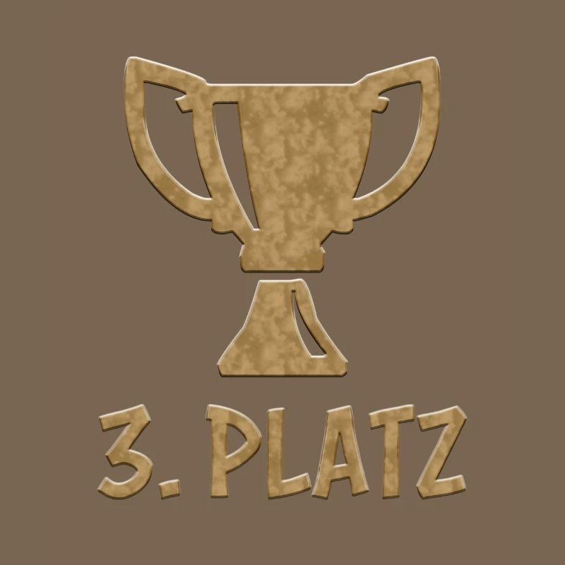 3rd place Bronze Winner Winner Third