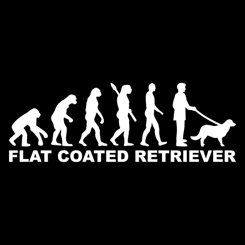 Flat Coated Retriever