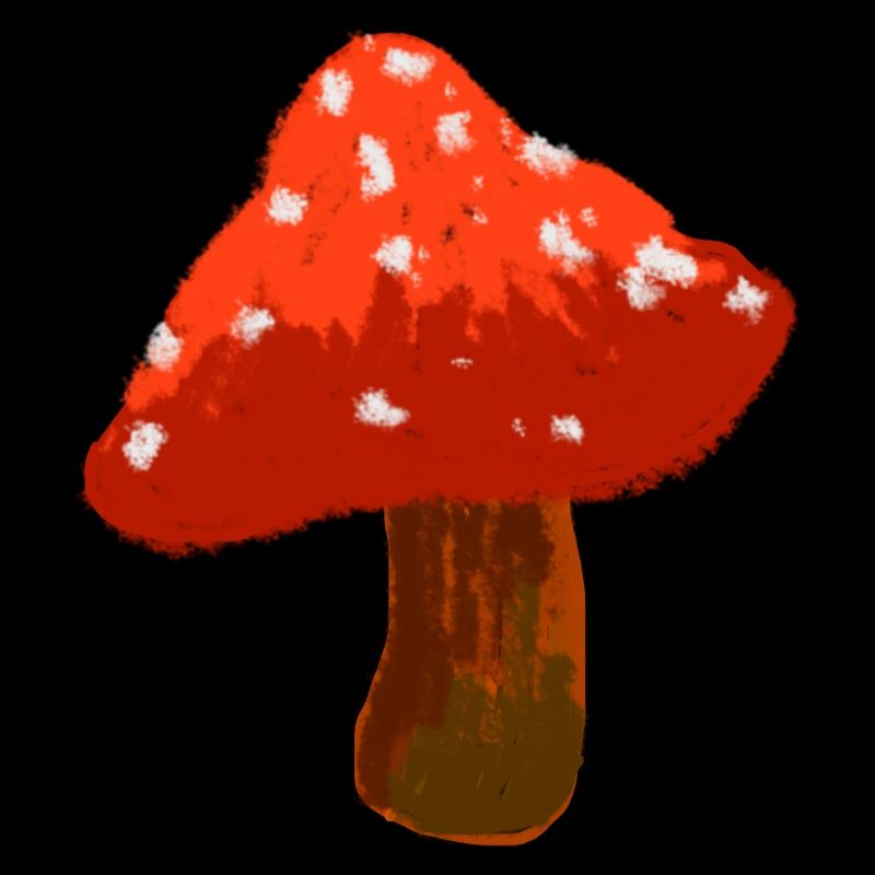 Gift for passionate mushroom picker