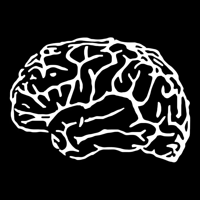 cerveau