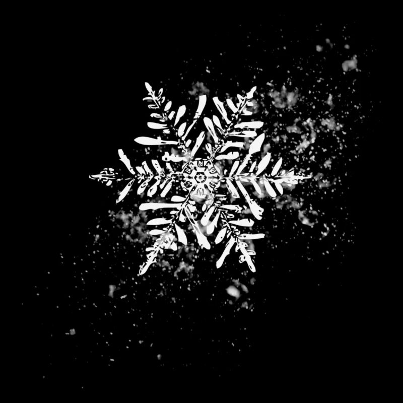 Snowflake