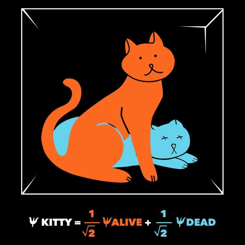 Le chat de Schrödinger - Dead 'n' Alive