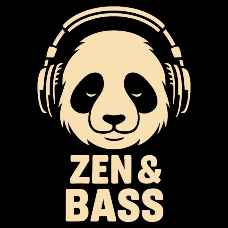 Panda avec un casque