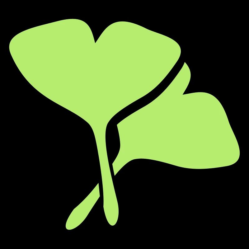 Ginko medicinal plant
