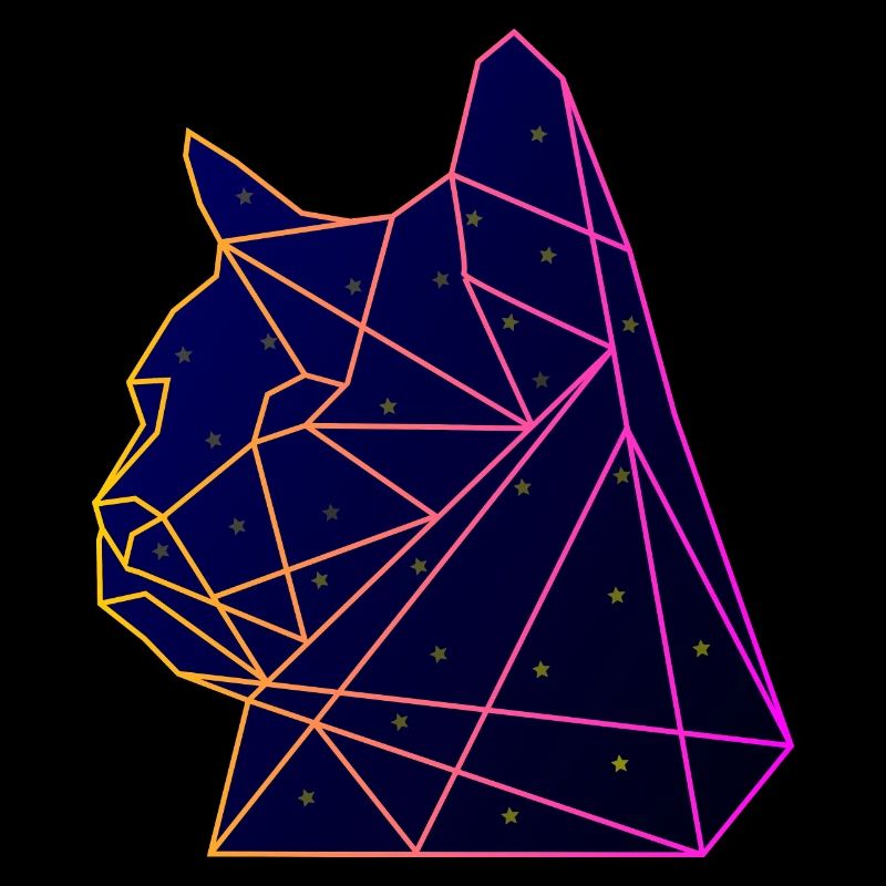 Space Cat