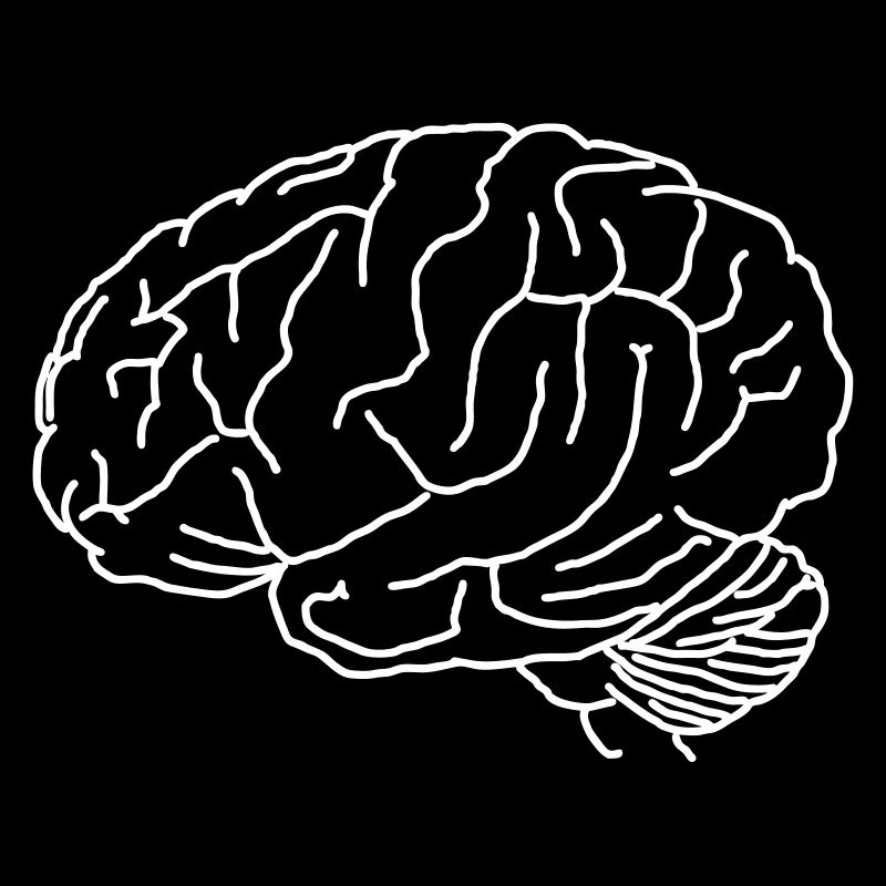 Brain