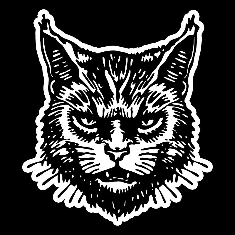 Chat Chats Chat Dame Chat Amoureux Chat Visage