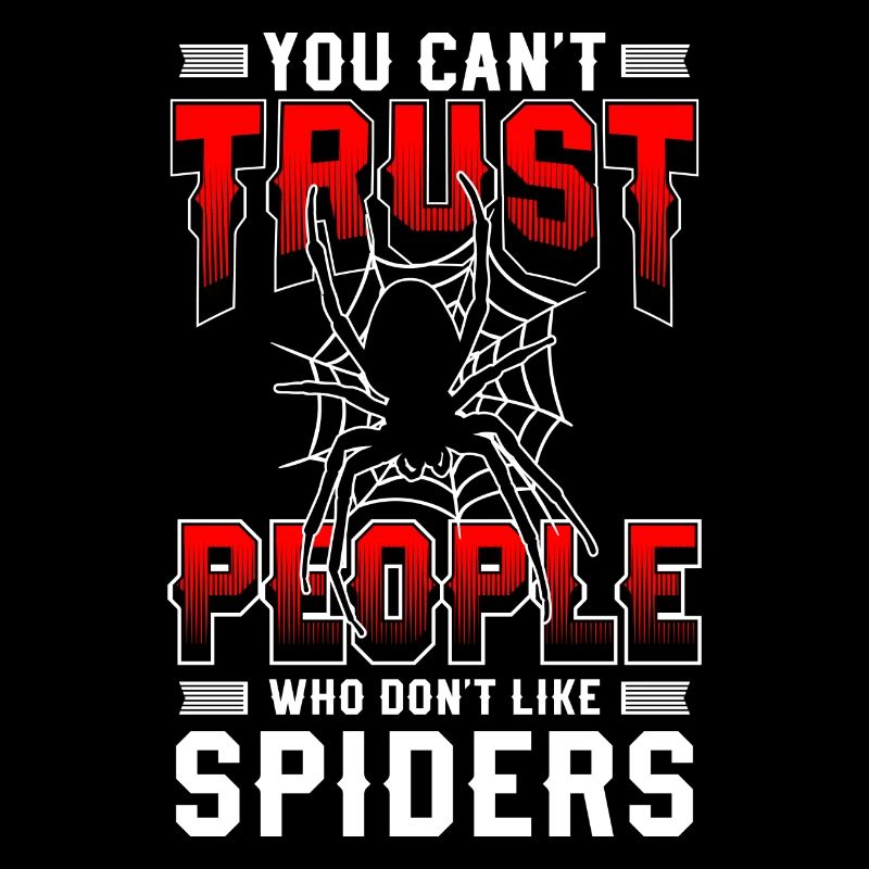 Spiders Nature Arachnids