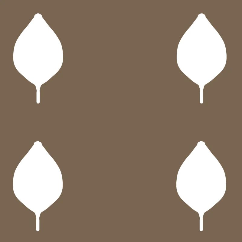 four leaves leaf nature pattern